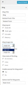 Wordpress how to edit with the customization tool8