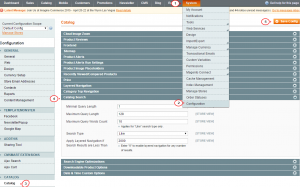 Magento_how_to_manage-search-4