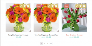Woocommerce-How_to_create_a_special_page-1