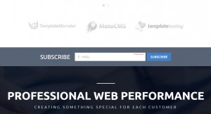 Landing Page. How to integrate MailChimp to newsletter form-1