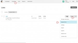 Landing Page. How to integrate MailChimp to newsletter form-2