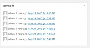 wordpress_revisions_management3