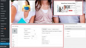 CherryFramework 4. How to work with Motopress slider-11