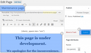 CherryFramework_4_How_to_set_maintenence_mode_2