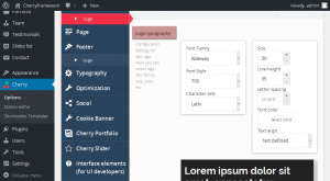 cherryframework4_how_to_manage_logo_4