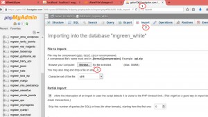 magento_move_store_from_localhost_to_live_server4