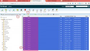 magento_move_store_from_localhost_to_live_server8