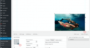 CherryFramework 4-How to replace Slider image with Video and make video auto play-3