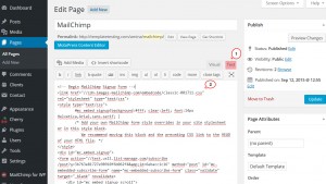 embed form mailchimp cherryframework required place help changes forget then don preview