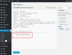 CherryFramework-4_How_to_change_iconic_fonts_icons_6