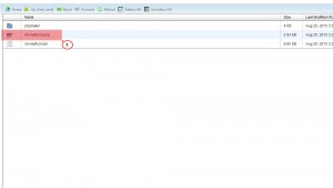 JS Animated. How to activate contact form (based on rd-mailform plugin)_1