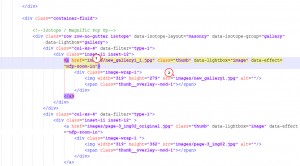 JS Animated. How to use Isotope Layout filter-4