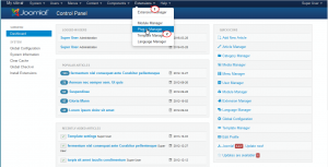 Joomla 3.x. How to hide Joomla version update options from admin panel -1