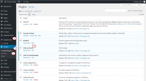 WordPress._How_to_work_with_appointments_(based_on_Booked_plugin)_1