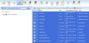 WordPress_How_to_move_website_from_sub_dir_to_root_4