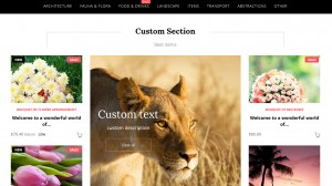 Prestashop 1.6.x. How to manage TM Mosaic Products v 2.0 module-16