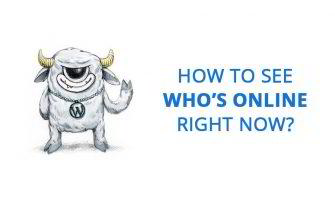 How to See Who’s Online on Your WordPress Website?