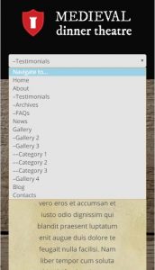 CherryFramework_3_Troubleshooter._How_to_deal_with_doubled_menu_2