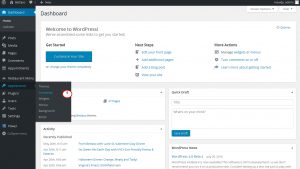 WordPress Blogging themes. How to change footer copyright text