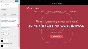 WordPress Blogging themes. How to change footer copyright text2