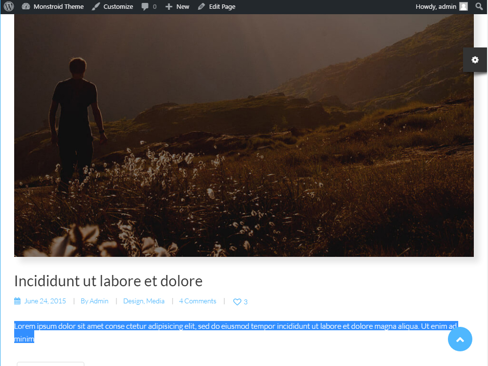 CherryFramework4. How to change the excerpt length in the post-3
