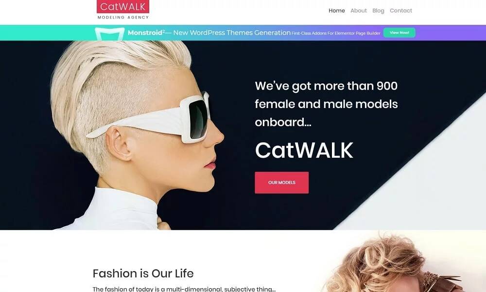 Catwalk - Divat Modellügynökség reszponzív WordPress téma