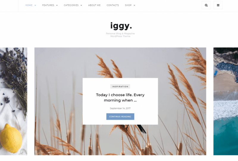                                                             Iggy - Temiz Blogu ve Dergisi WordPress Teması 