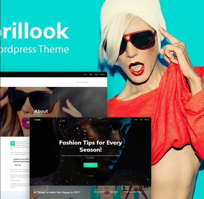                              Brillok Lite - Ücretsiz Moda Blogu WordPress Teması 